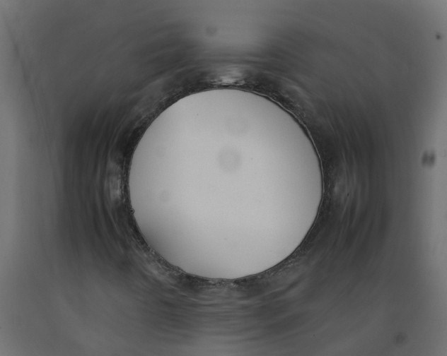 X0000092101442200710101112