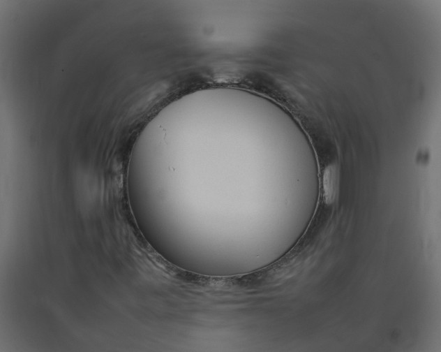 X0000092101443200710101112