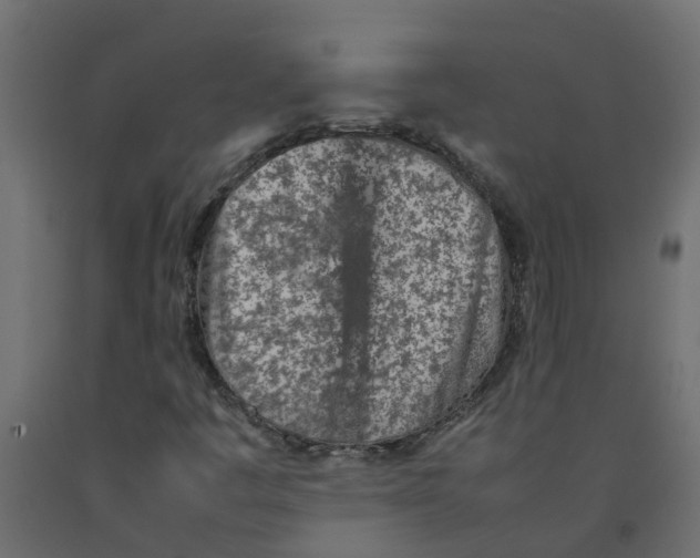 X0000092101445200710101112