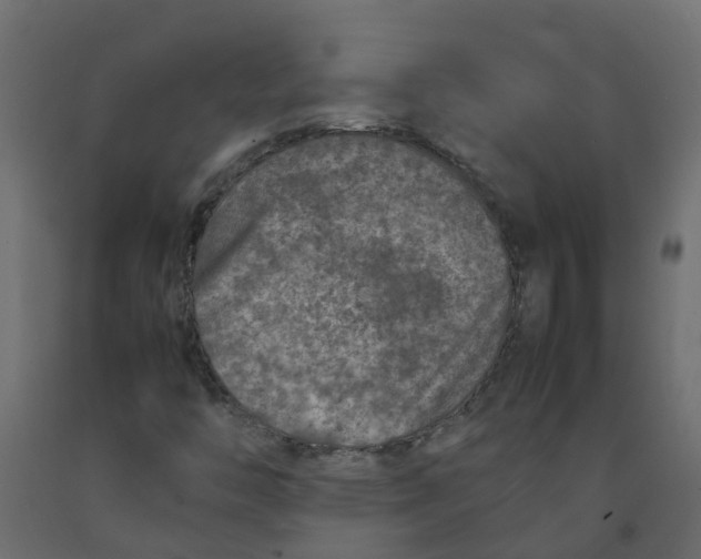 X0000092101446200710101112