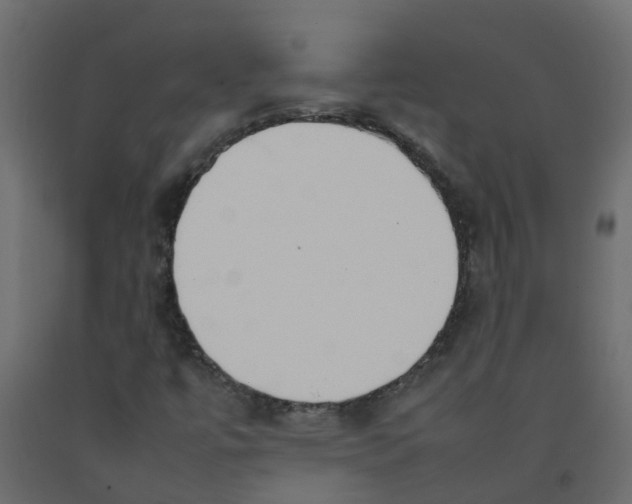 X0000092101447200710101112