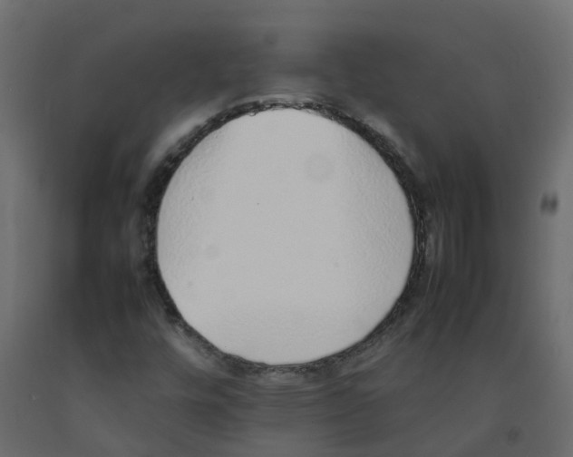 X0000092101448200710101112