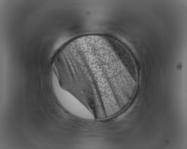 X0000092101453200710101112