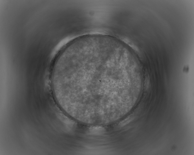 X0000092101454200710101112