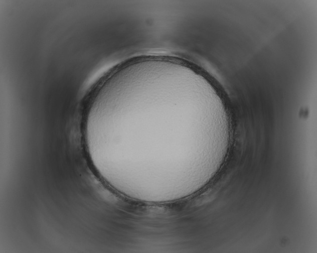 X0000092101456200710101112