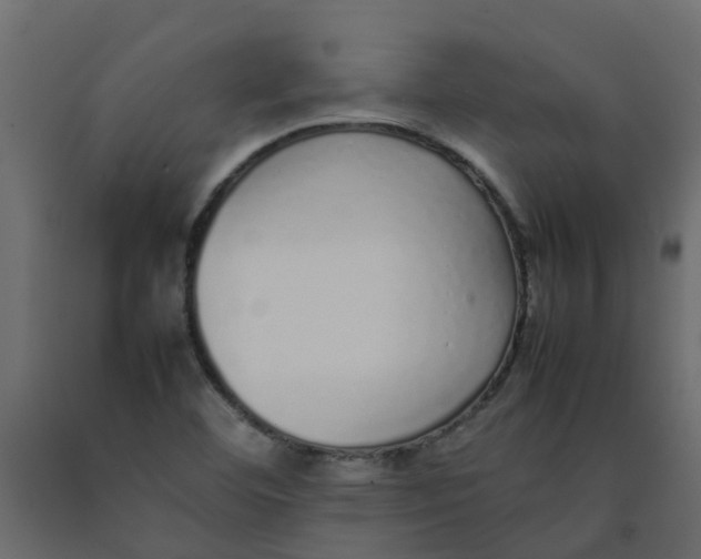 X0000092101460200710101112