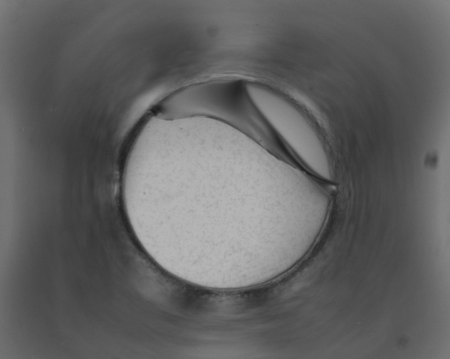 X0000092101461200710101112