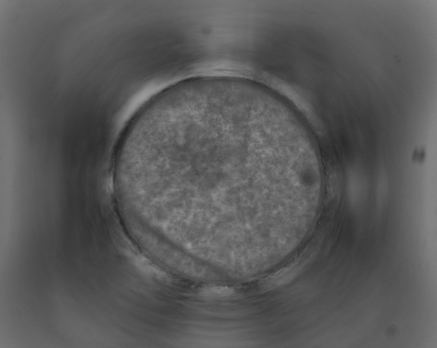 X0000092101462200710101112