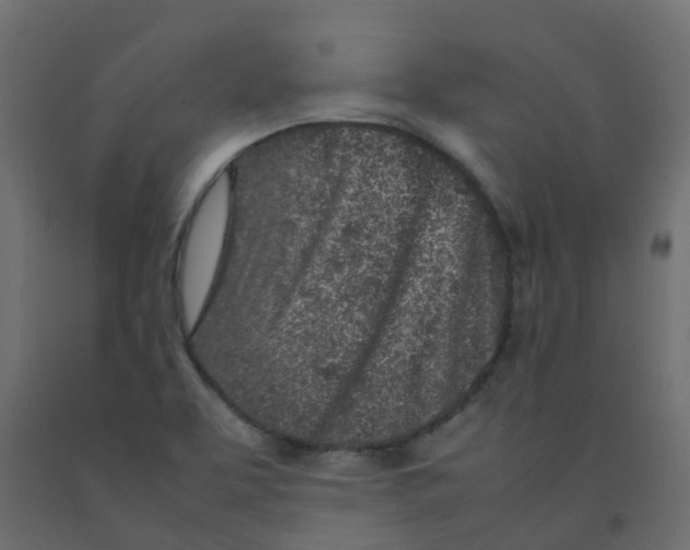 X0000092101463200710101112