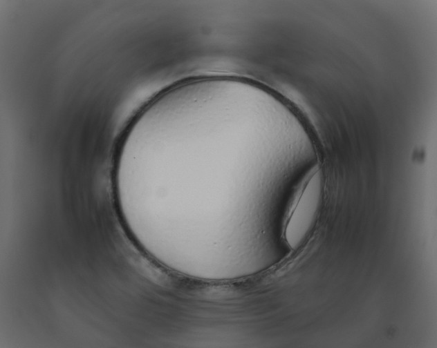 X0000092101464200710101112