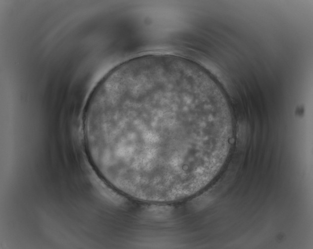 X0000092101466200710101112