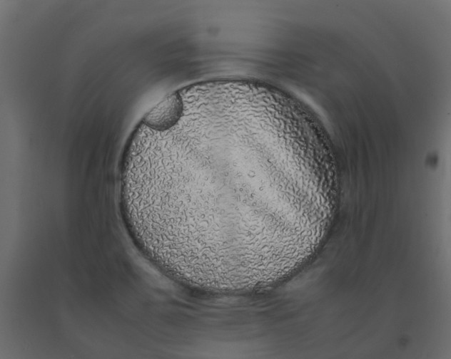 X0000092101467200710101112