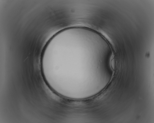 X0000092101468200710101112