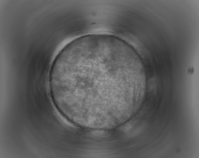 X0000092101470200710101112