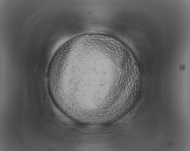 X0000092101471200710101111