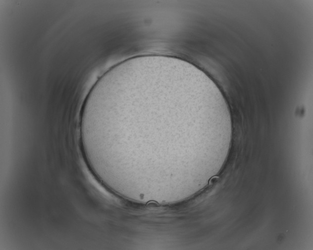 X0000092101479200710101111