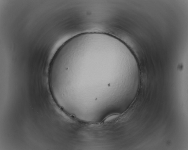 X0000092101480200710101111