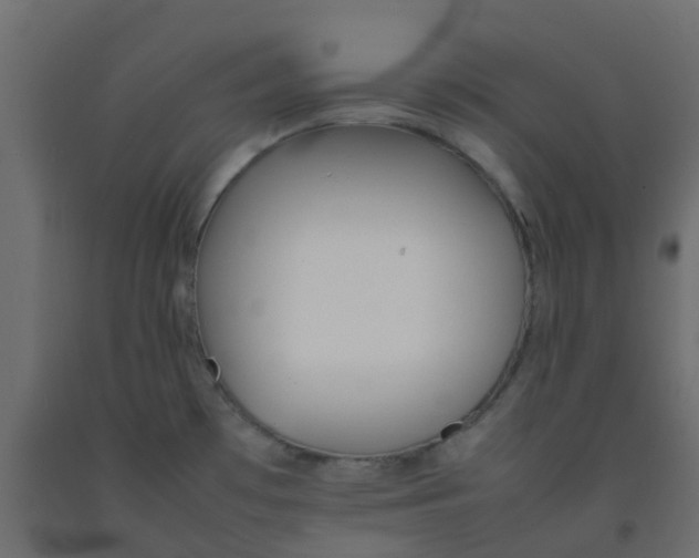 X0000092101481200710101111