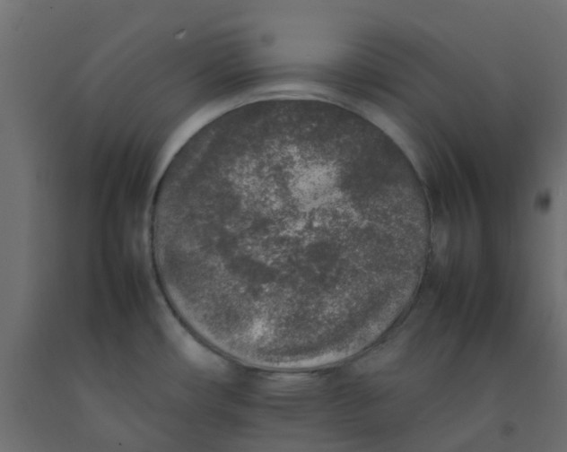 X0000092101482200710101111