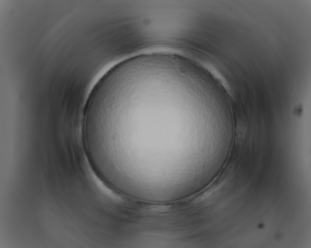 X0000092101484200710101111