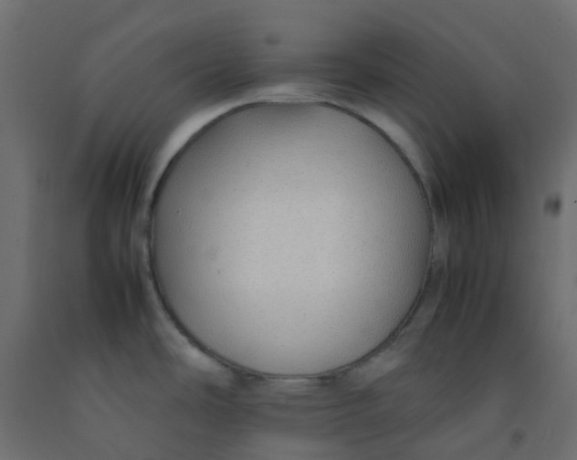 X0000092101486200710101111