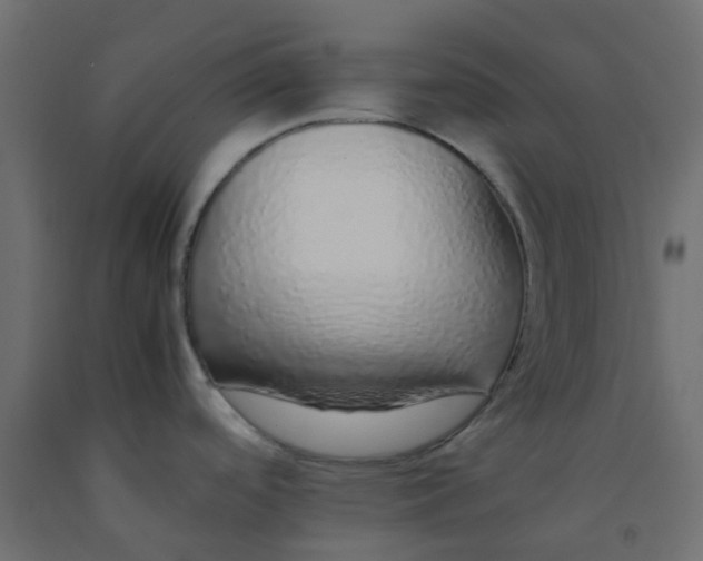 X0000092101488200710101111