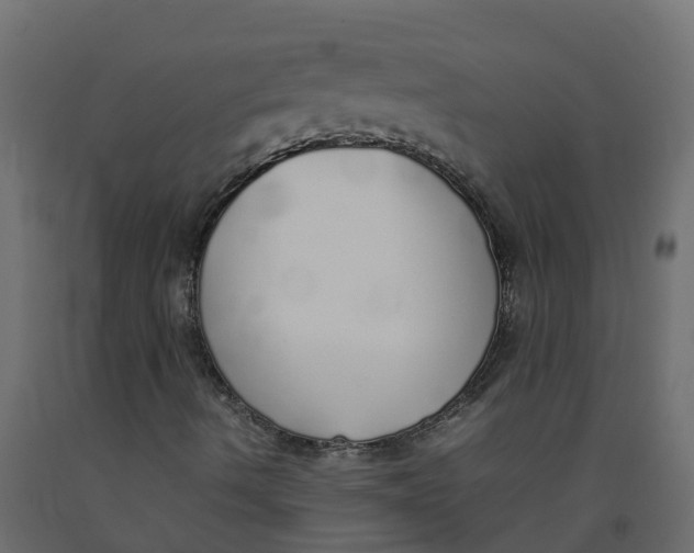 X0000092101490200710101111