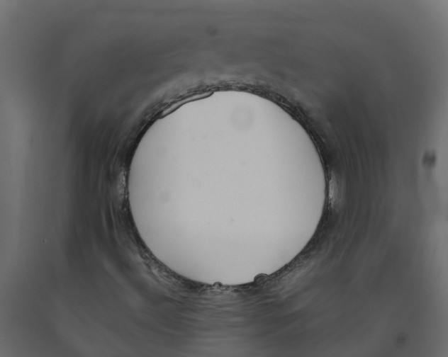 X0000092101492200710101111