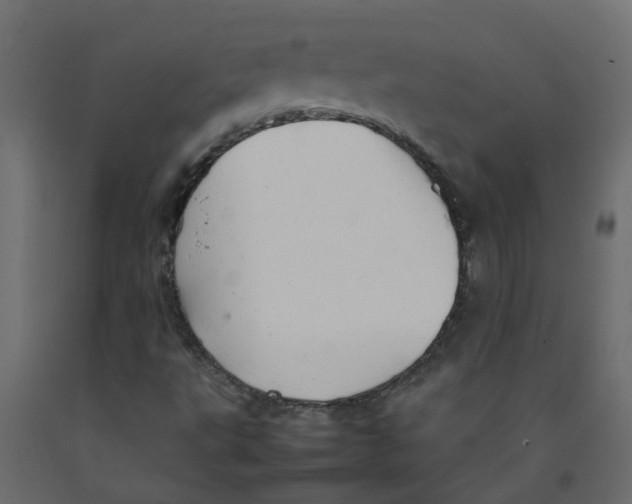 X0000092101495200710101111