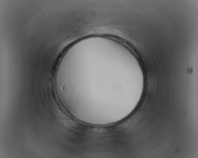 X0000092101497200710101111