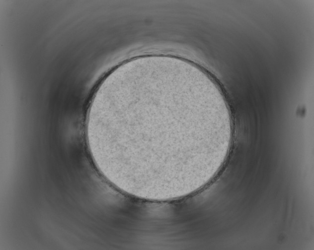 X0000092101498200710101111