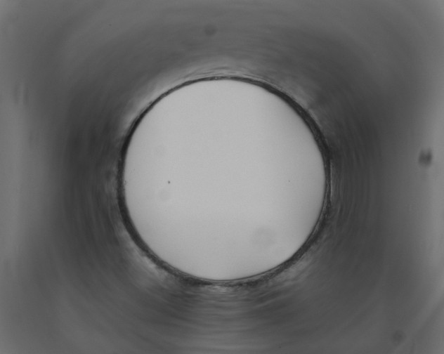 X0000092101500200710101111