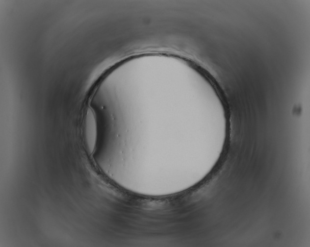 X0000092101501200710101111