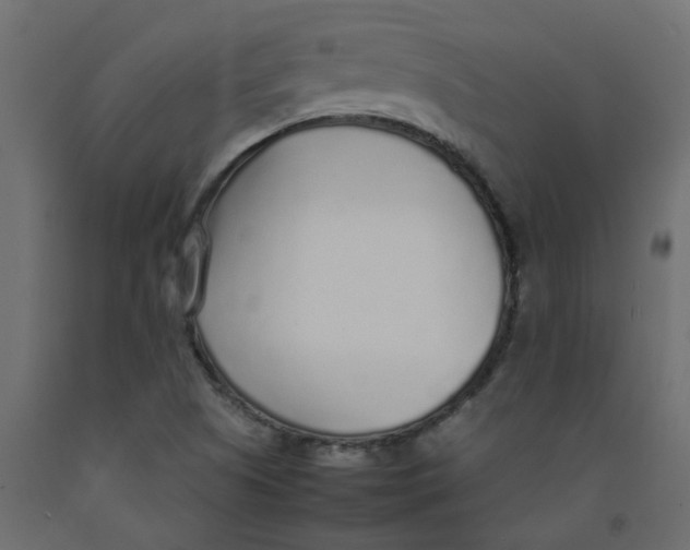 X0000092101505200710101111