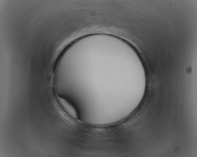 X0000092101507200710101111