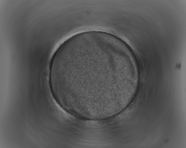 X0000092101508200710101111