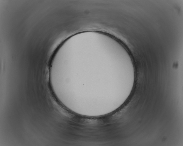 X0000092101509200710101111