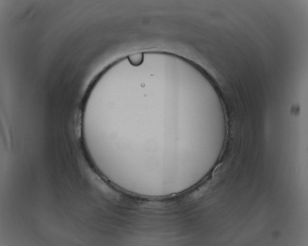 X0000092101510200710101111