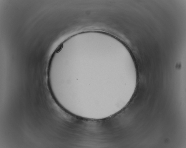 X0000092101512200710101111