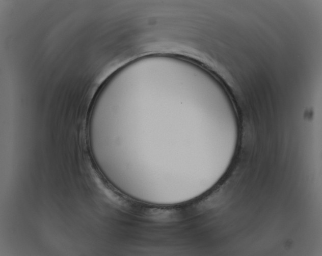 X0000092101513200710101111