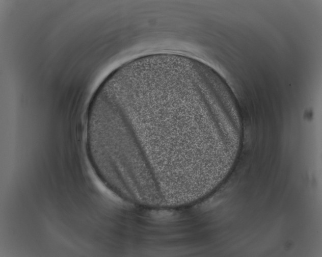 X0000092101515200710101111