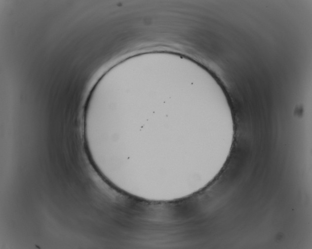 X0000092101516200710101111