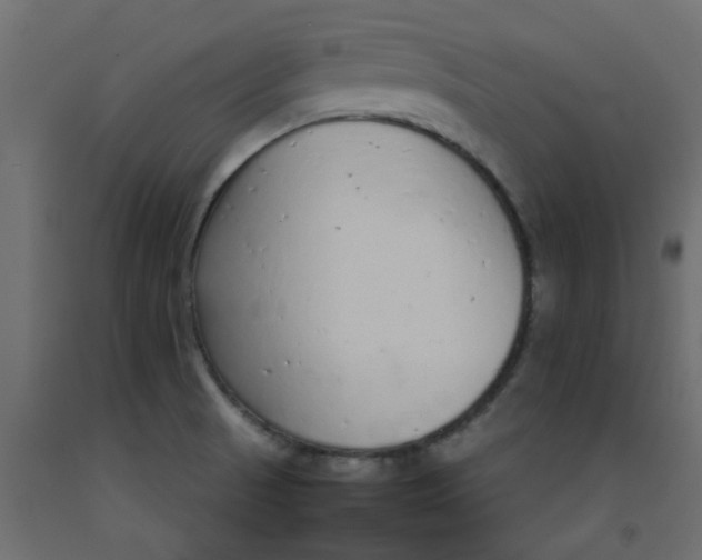 X0000092101521200710101111