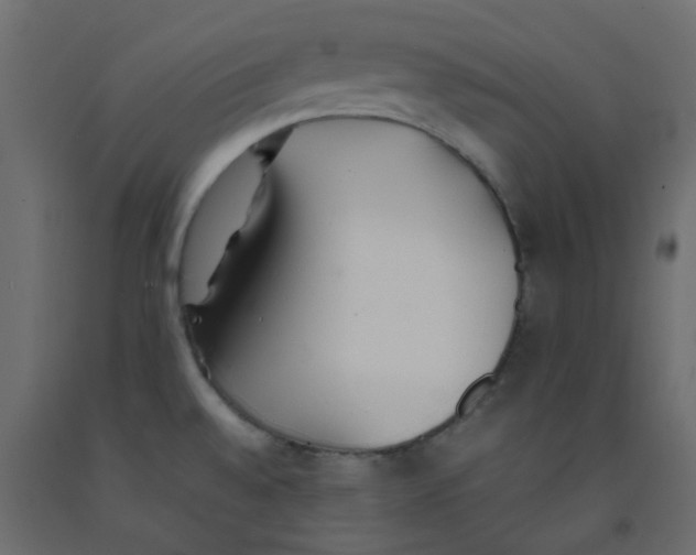 X0000092101528200710101111