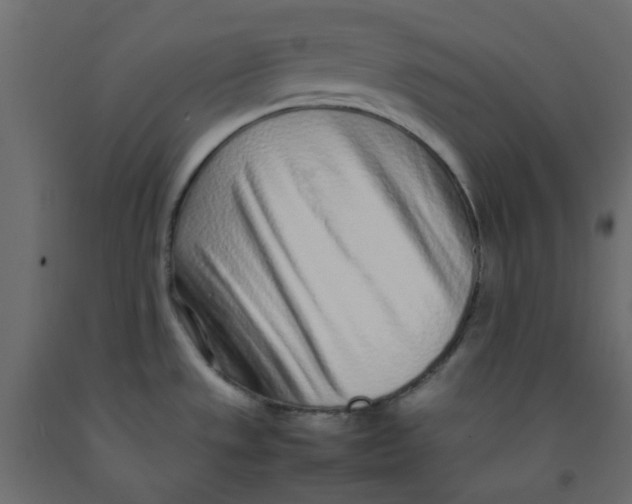 X0000092101533200710101111