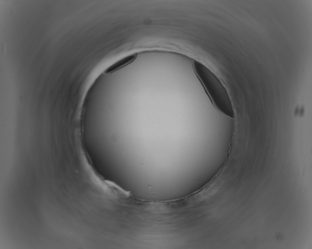 X0000092101536200710101111