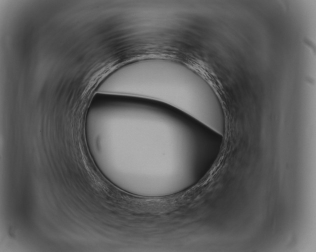X0000092110001200709121138