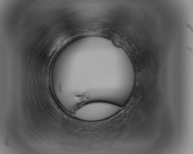 X0000092110002200709121138