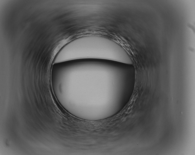 X0000092110003200709121138