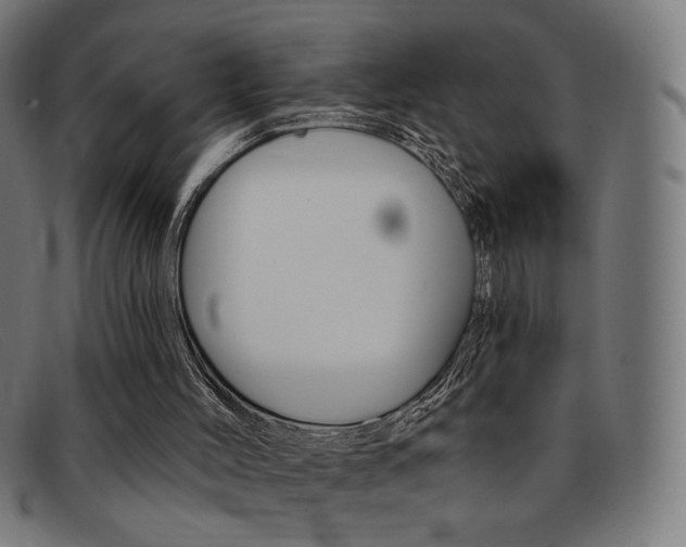 X0000092110004200709121138